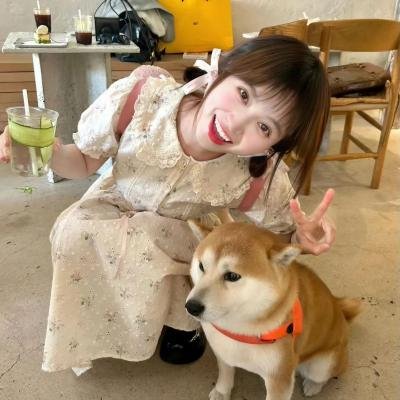 装饰之日